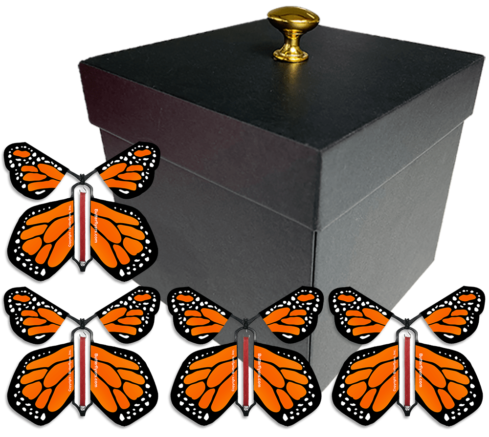 Black Exploding Butterfly Gift Box With 4 Orange Monarch Wind Up Flying Butterflies from butterflyers.com