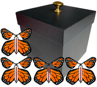 
              Black Exploding Butterfly Gift Box With 4 Orange Monarch Wind Up Flying Butterflies from butterflyers.com
            