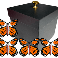 Black Exploding Butterfly Gift Box With 4 Orange Monarch Wind Up Flying Butterflies from butterflyers.com