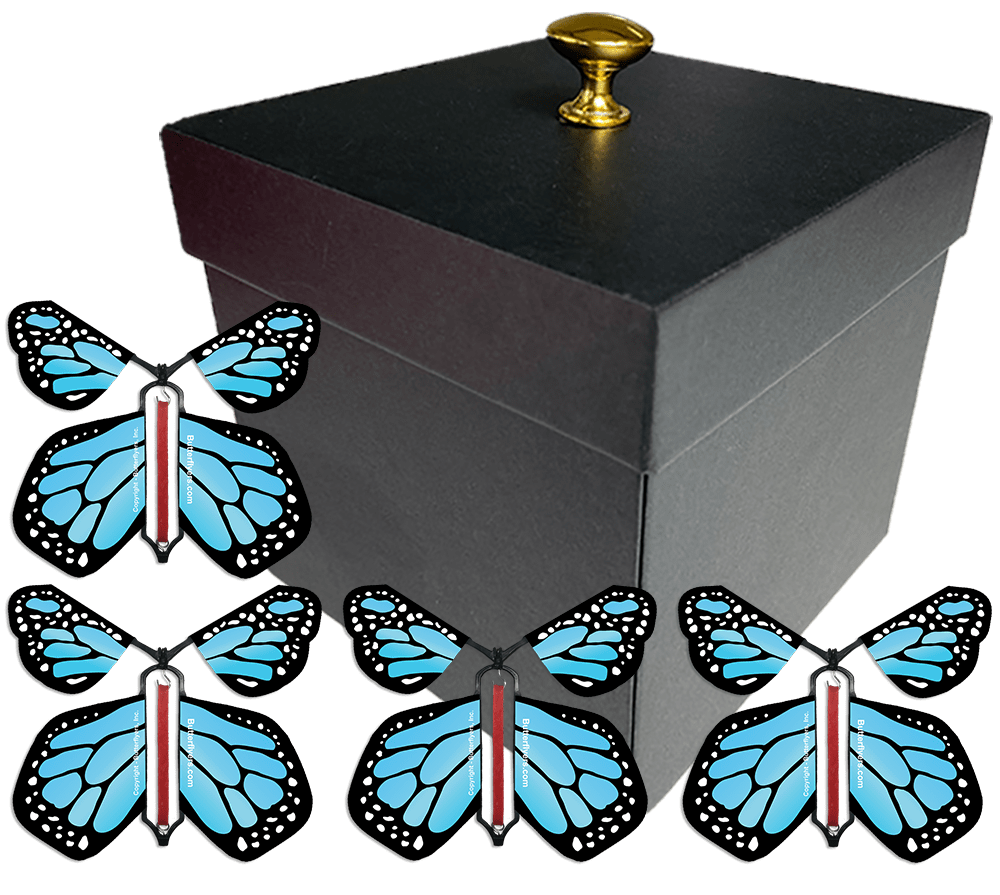 Black Exploding Butterfly Gift Box With 4 Blue Monarch Wind Up Flying Butterflies from butterflyers.com