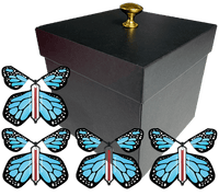 
              Black Exploding Butterfly Gift Box With 4 Blue Monarch Wind Up Flying Butterflies from butterflyers.com
            