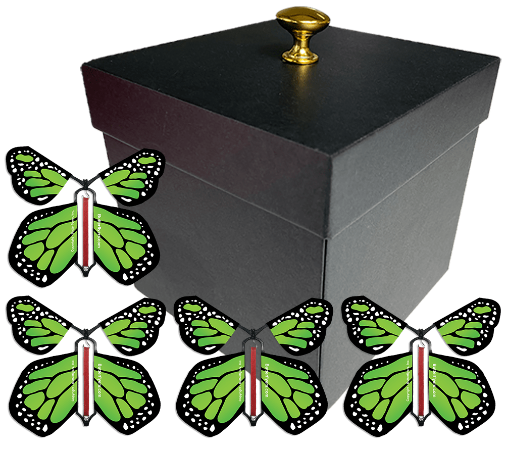 Black Exploding Butterfly Gift Box With 4 Green Monarch Wind Up Flying Butterflies from butterflyers.com