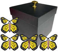 
              Black Exploding Butterfly Gift Box With 4 Yellow Monarch Wind Up Flying Butterflies from butterflyers.com
            