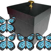 Black Exploding Gender Reveal Box With Blue Monarch Flying Butterflies From Butterflyers.com
