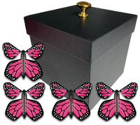 
              Black Exploding Gender Reveal Box With Pink Monarch Flying Butterflies From Butterflyers.com
            