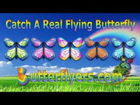
              Stained Glass Rainbow Flying Butterfly
            