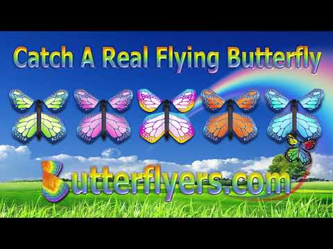 Winding The Famous Wind Up Flying Butterfly From Butterflyers.com