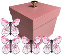 
              Pink Exploding Gender Reveal Box With It's A Girl Flying Butterflies From Butterflyers.com
            