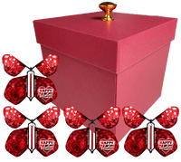 
              Red Valentines Day Exploding Butterfly Box With Happy Valentine's Day Wind Up Flying Butterflies
            