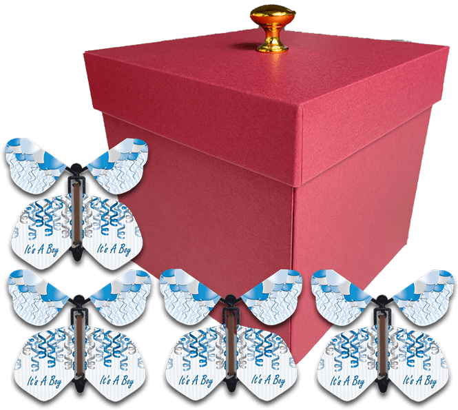 Fly Gift Box Surprise Flying Butterfly Gift Boxes – Butterflyers