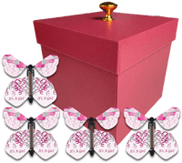 
              Red Exploding Gender Reveal Box With It's A Girl Flying Butterflies From Butterflyers.com
            