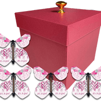 Red Exploding Gender Reveal Box With It's A Girl Flying Butterflies From Butterflyers.com