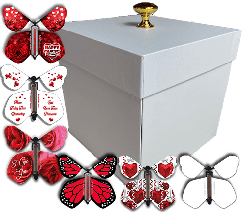 White Valentines Day Exploding Butterfly Box With Wind Up Flying Butterflies from butterflyers.com